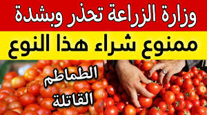 “خراب بيوت مستعجل”..وزارة الصحة تحذر من شراء هذا النوع من الطماطم من السوق! يسبب الوفاة
