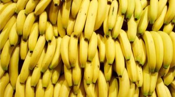 سم قاتل …. عالم يحذر من تناول الموز في هذا الوقت خلال اليوم يتحول الى سم قاتل يدمر الكلى والمناعة